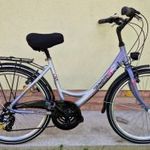 Dinotti Fun Rider 26-os mélyvázas alumínium vázas bicikli. Shimano 21. sebesség, dupla falú felnik fotó