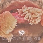 Toro Y Moi: Underneath The Pine fotó
