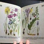 Csapody-Jávorka: Erdő-mező növényei. Natura, 1980. A klasszikus növényhatározó, antikvár példány fotó