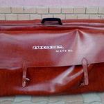 Retro, Vitange elektromos orgona, eredeti táskájában. EKO Tiger Mate DL fotó