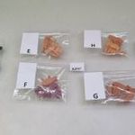KF97 H0 1: 87 Preiser 14162 szettekből disznó konda figura készlet - választható A, E, F, G, H, I fotó