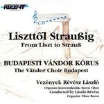 Liszttől Straußig Vándor Kórus CD lemez, PF82, ritka magánkiadás, eladó fotó