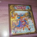 A Hamlini Furulyás // mesekönyv fotó