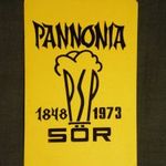 Kártyanaptár, Pannonia sör, Pécs sörgyár, 1973 (1) fotó