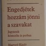 Sütő András: Engedjétek hozzám jönni a szavakat. Jegyzetek hómezőn és porban fotó