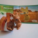 Tierkinder aus aller Welt / állatkölykök / kenguru / FT009 + BPZ fotó