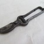 Régi metszőolló / 23 cm fotó