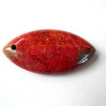 Korall fosszília medál 45 x 23 x 7 mm 563. fotó