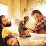 Másnaposok 2. - DVD Bontatlan, Amerikai vígjáték, Bradley Cooper fotó