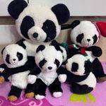 Nagy Panda maci család együtt fotó