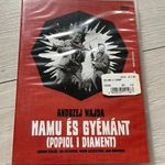 Hamu és gyémánt DVD - Andrzej Wajda (bontatlan, feliratos) fotó