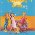 Vigyorboszi Klub 3. - Ennivaló bosziblöki fotó