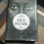 Chika Unigwe Fekete pillangók fotó