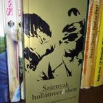 Lutter Imre (szerk.): Szárnyak hullámverésben - RITKA fotó