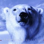 The Phase - Reviews CD prog rock fotó