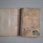 SAS EDE - DIADAL - EGY KIS TANÍTÓNŐ REGÉNYE - SINGER ÉS WOLFNER 1904 fotó