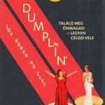Dumplin' - Így kerek az élet (Filmes borítóval) fotó