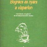 Kácsor László: Bogrács és nyárs a vízparton fotó