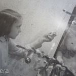 BÉKEIDŐ KARÁCSONY FELDÍSZITETT KARÁCSONYFA FENYŐFA FOTÓ FÉNYKÉP cca. 1932 ENTERIŐR fotó