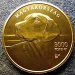 Magyarország Erdélyi kopó 3000 Forint 2023 BP PL (id81163) fotó