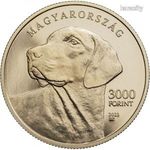 Érme 3000Ft Erdélyi kopó 3000 Forint Érem Proof-Like 2023 UNC fotó