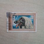 Magyarország bélyeg: Afgán kopó (Canis lupus familiaris) 1972 fotó