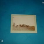 ANTIK FÉNYKÉP CCA 1900-AS ÉVEK LOVAK+SZEKÉR fotó