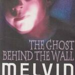 The ghost behind the wall fotó