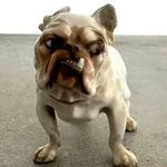 Angol bulldog porcelán figura Bing and Grondahl B & G Dánia fotó