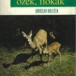 Jaroslav Holecek: Bocsok, őzek, fiókák fotó