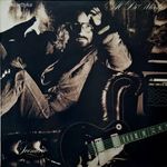 JAZZ Al Di Meola - Scenario (12" Vinyl LP) Borító hibás! fotó