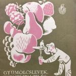 Gyümölcslevek turmix-italok és más vitamin forraások. fotó
