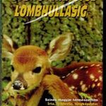 Gyöngyvirágtól lombhullásig (1953) DVD ÚJ! r: Homoki Nagy István MOKÉP kiadás fotó