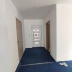 Ikerház Budapest Újpéteritelep Kisfaludy utca fotó