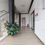 Utcai bejárattal Üzlethelyiségek Szentendre fotó