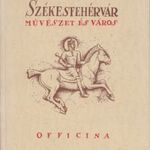 Székesfehérvár - Művészet és város fotó