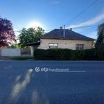 Utcai bejárattal Üzlethelyiségek Dunapataj 51-es főút mellett fotó