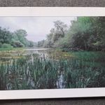 Képeslap, levelezőlap - Kismaros fotó emléklap (T5) fotó