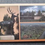Képeslap, levelezőlap - Szarvas Bolza kastély arborétum (T5) fotó