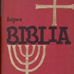 Képes Biblia. Szemelvényes szentírási szövegek fiataloknak fotó