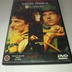 Karate tigris 2. - Villámkezek fotó