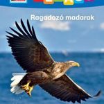 Ragadozó madarak - Mi Micsoda Olvasó fotó