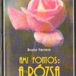 Ami fontos: a rózsa fotó