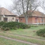 Tanya Albertirsa Irsa fotó