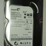 Seagate 500GB HDD merevlemez SATA 100/100 #ANF8 fotó