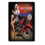 Vintage Dekor Fémtábla, dombornyomott, 'HARLEY-DAVIDSON MOTOR CYCLE' felirat, retro han... fotó