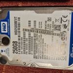 WD 250 gb 2.5" winchester fotó