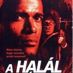 A halál két arca ~ DVD Amerikai akció-thriller, Mario Van Peebles fotó