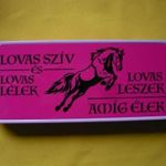 "LOVAS SZÍV ÉS LOVAS LÉLEK" FÉM DOBOZ, TÁROLÓ, TOLLTARTÓ fotó