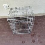 kutya szobakennel fotó